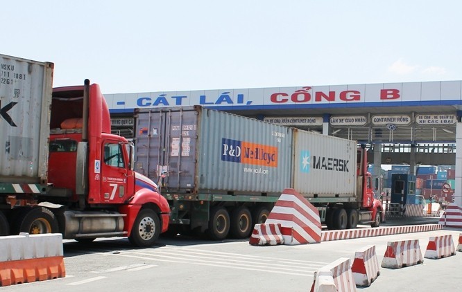 cat-lai-1757375627.jpg