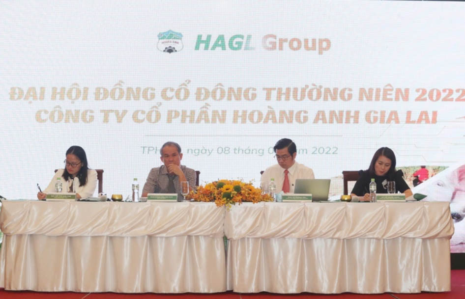 Từ chối hợp tác với Nova Consumer, Hoàng Anh Gia Lai hợp tác với Chứng khoán VPBank và Quỹ Việt Cát để phát hành 1.700 tỷ đồng.