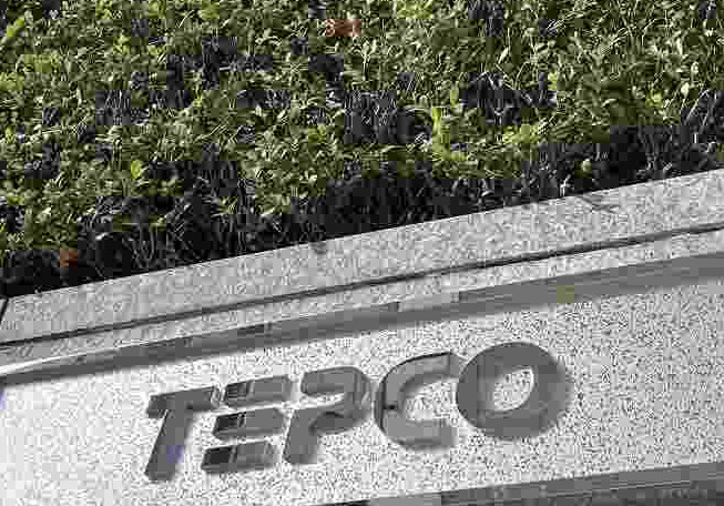 Được thành lập vào tháng 5/1951, TEPCO Group hoạt động chủ yếu trong lĩnh vực năng lượng với 97 công ty liên kết (tính đến tháng 4/2021). 
