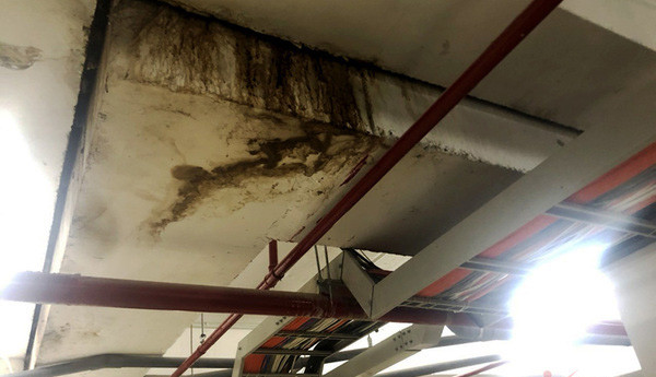 Tình trạng thấm dột tại tầng hầm chung cư Fresca Riverside khá nghiêm trọng, gây bức xúc cho cư dân. 