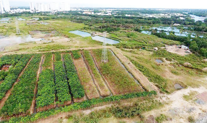 Khu đất rộng 32.000 m2 do Công ty Tân Thuận bán cho Quốc Cường Gia Lai