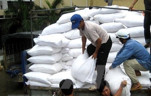 Vận chuyển gạo cứu trợ cho người dân. Ảnh minh họa: Thái Sơn