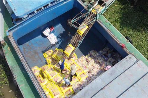 Hoạt động vận chuyển gạo xuất khẩu tại nhà máy chế biến Tân Thạnh thuộc Vinafood 2. Ảnh minh hoạ: TTXVN.