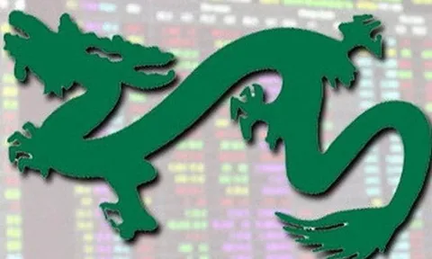 Dragon Capital bán ra 740.000 cổ phiếu DGC của Hóa chất Đức Giang do lợi nhuận sụt giảm