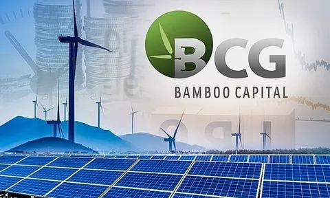 Bamboo Capital (BCG) báo lãi quý IV/2024 tăng đột biến đạt 96,5 tỷ đồng