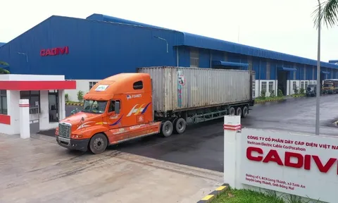 Dây cáp điện Việt Nam (CADIVI: CAV), công ty con của Tập đoàn Gelex chi 805 tỷ đồng chia cổ tức bằng tiền với tỷ lệ 140% tăng gần gấp 3 lần so với kế hoạch