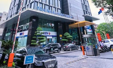Xuất nhập khẩu và Xây dựng Việt Nam (Vinaconex: VCG) dự chi gần 500 tỷ đồng trả cổ tức bằng tiền mặt với tỷ lệ 8%