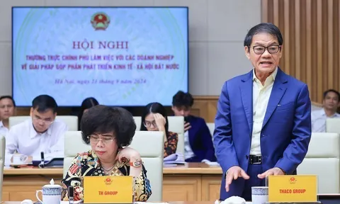 THACO GROUP của tỷ phú Trần Bá Dương có năng lực và kinh nghiệm nào để có thể làm đường sắc tốc độ cao Bắc Nam?
