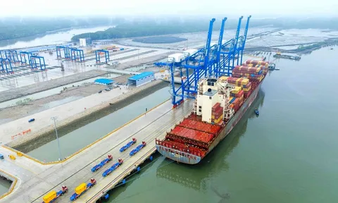 Năm 2025, Cảng Phước An (PAP) dự kiến mức lỗ kỷ lục trong lịch sử hơn 558 tỷ đồng