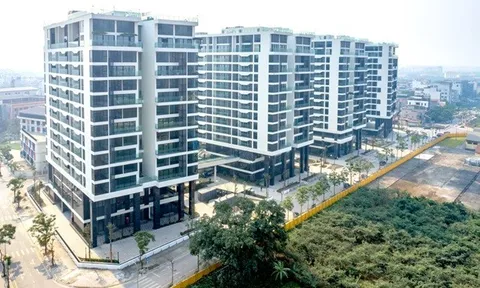 Sunshine Group livestream đặt giá căn hộ vào 1/7 chỉ với giá khởi điểm bằng 50% giá thị trường