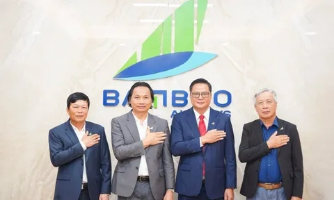 Ông Phạm Ngọc Vịnh làm Chủ tịch Bamboo Airways