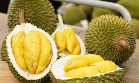Tăng trưởng gấp 3 lần so với cùng kỳ, sầu riêng xuất khẩu kéo ngành rau quả phục hồi