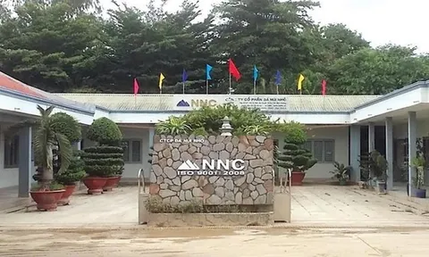 Quý I/2025, Đá Núi Nhỏ (NNC) ghi nhận lãi hơn 20 tỷ đồng hoàn thành gần 37% kế hoạch, sắp trả cổ tức bằng tiền với tỷ lệ 10%