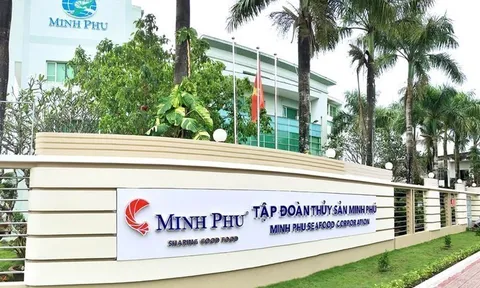 Thuỷ sản Minh Phú (MPC) báo lãi quý II/2025 đạt 164,9 tỷ đồng gấp 4,3 lần cùng kỳ