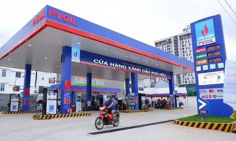 Thoát lỗ lũy kế, PVOIL (OIL) dành 258 tỷ đồng chia cổ tức bằng tiền mặt