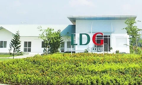 Lỗ lũy kế gần 1.400 tỷ đồng, Đầu tư LDG (LDG) tiếp tục chậm trả lô trái phiếu trị giá 186,4 tỷ đồng