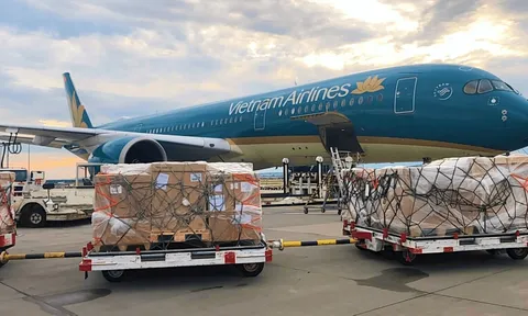 Dịch vụ Hàng hoá Sài Gòn (SCS) dự chi tiếp gần 285 tỷ đồng để trả cổ tức bằng tiền với tỷ lệ 30%