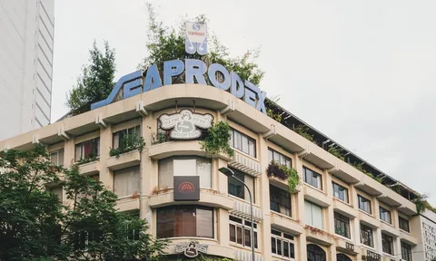 Red Capital, Tập đoàn Gelex thoái vốn, Tập đoàn SSG trở thành cổ đông lớn của Seaprodex