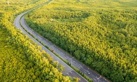 UBND TP.HCM thành lập hội đồng thẩm định dự án metro kết nối trung tâm TP.HCM với Cần Giờ do VinSpeed đề xuất