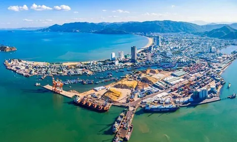 Quý III, Cảng Quy Nhơn (QNP) lãi hơn 35 tỷ đồng tăng 38,4%
