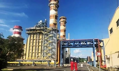 9 tháng, Điện lực Dầu khí Nhơn Trạch 2 (NT2) lãi 577,4 tỷ đồng gấp gần 70 lần cùng kỳ