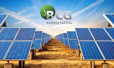 Bamboo Capital (BCG) ghi nhận lỗ đến 7.500 tỷ đồng, dự kiến lỗ kéo dài đến hết 2027