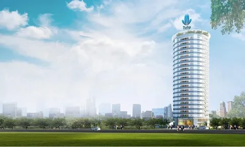 Lỗ gần 20 tỷ đồng trong năm 2025, ông Châu Quang Đạt từ chức tổng giám đốc Vạn Phát Hưng (VPH)