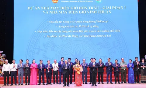 VinEnergo, công ty con của Tập đoàn Vingroup đầu tư 8 tỷ USD vào cụm nhà máy điện gió Gia Lai