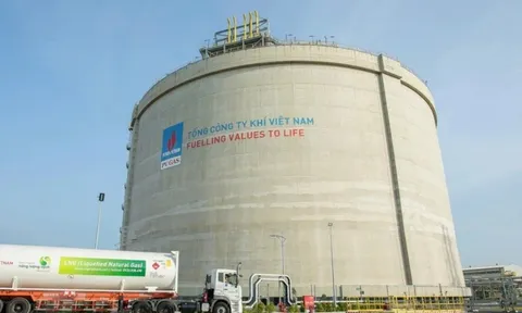 Khí thấp áp Dầu khí Việt Nam – PV GAS D (PGD) ghi nhận mức lỗ kỷ lục trong quý II/2026