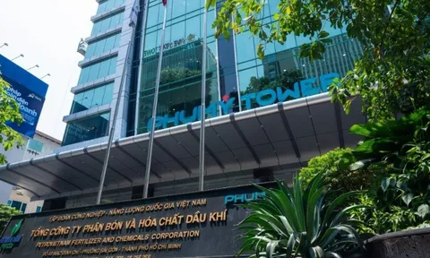 Phân bón và Hóa chất Dầu khí (DPM) thành lập công ty con có vốn điều lệ 220 tỷ đồng