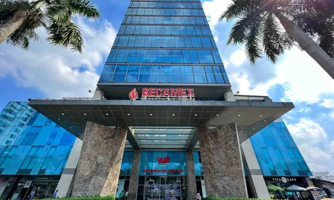 6 tháng, lợi nhuận Becamex IDC (BCM) sụt giảm mạnh đến hơn 83% nhưng lãnh đạo vẫn nhận thưởng cao ngất ngưởng