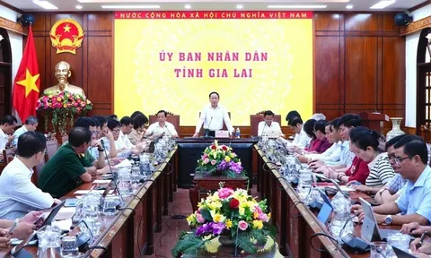 Gia Lai tập trung thực hiện mục tiêu tăng trưởng GRDP từ 10,2% trở lên