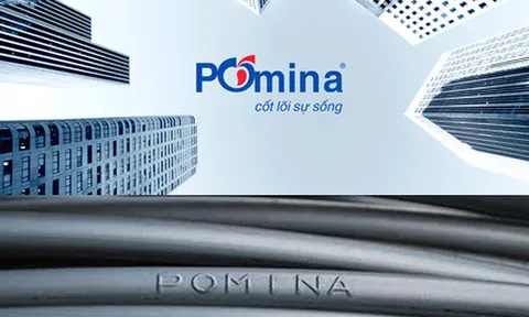Thua lỗ kéo dài và gánh nợ 5.740 tỷ đồng, Thép Pomina bị công ty kiểm toán nghi ngờ khả năng hoạt động liên tục