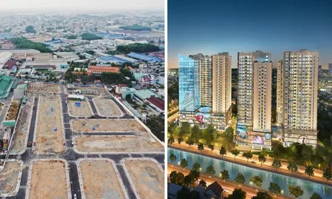 Thị trường bất động sản nửa đầu 2025: Căn hộ lấy lại vị thế, đất nền hạ nhiệt