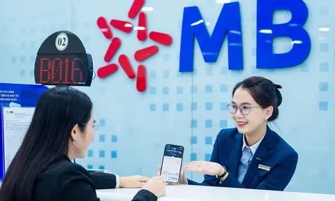 Chứng quyền riêng lẻ thu hút dòng tiền, vì sao?