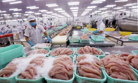 Thủy sản Việt Nam chịu tác động ra sao nếu Hoa Kỳ áp thuế bổ sung 12,5%?