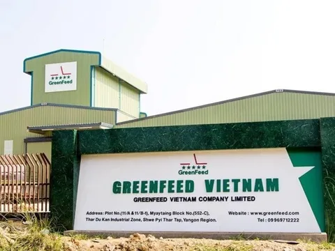 GreenFeed Việt Nam ghi nhận lợi nhuận sau thuế đạt hơn 2.106 tỷ đồng tăng 382% so với cùng kỳ