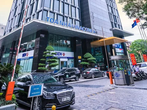 Xuất nhập khẩu và Xây dựng Việt Nam (Vinaconex: VCG) dự chi gần 500 tỷ đồng trả cổ tức bằng tiền mặt với tỷ lệ 8%