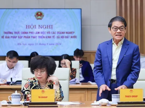 THACO GROUP của tỷ phú Trần Bá Dương có năng lực và kinh nghiệm nào để có thể làm đường sắc tốc độ cao Bắc Nam?