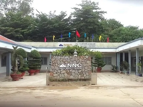 Quý I/2025, Đá Núi Nhỏ (NNC) ghi nhận lãi hơn 20 tỷ đồng hoàn thành gần 37% kế hoạch, sắp trả cổ tức bằng tiền với tỷ lệ 10%