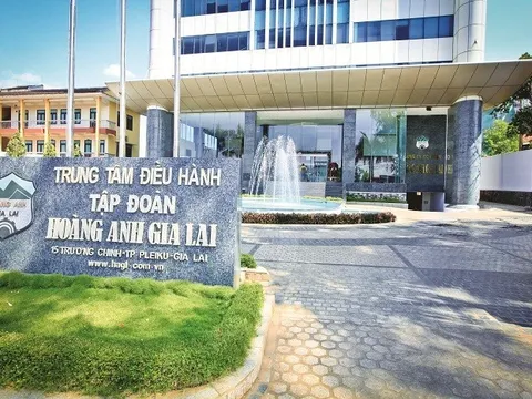 6 trái chủ sẽ hoán đổi 2.520 tỷ đồng tiền nợ thành cổ phiếu tại Hoàng Anh Gia Lai