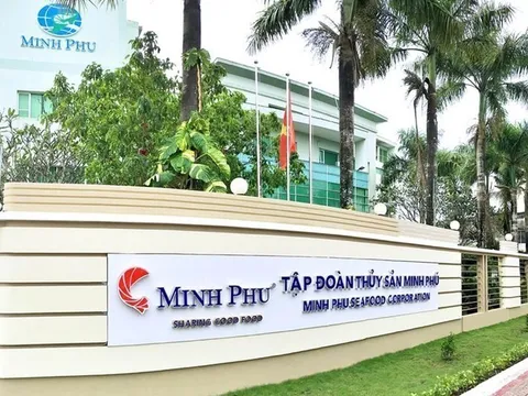 Thuỷ sản Minh Phú (MPC) báo lãi quý II/2025 đạt 164,9 tỷ đồng gấp 4,3 lần cùng kỳ