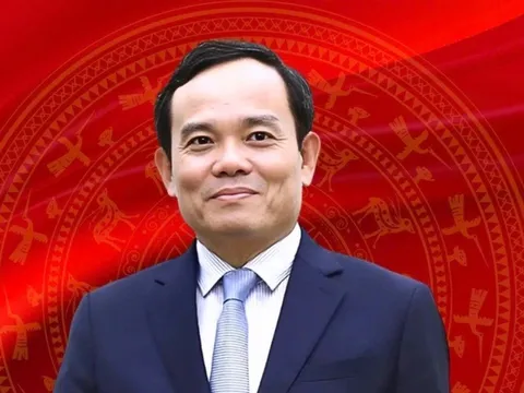 Trưởng ban Chính sách Chiến lược TW Trần Lưu Quang được phân công làm Bí thư Thành ủy TP.HCM