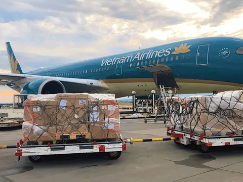 Dịch vụ Hàng hoá Sài Gòn (SCS) dự chi tiếp gần 285 tỷ đồng để trả cổ tức bằng tiền với tỷ lệ 30%