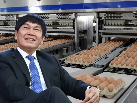 Dù lợi nhuận tăng mạnh nhưng Tập đoàn Hòa Phát của tỷ phú Trần Đình Long bất ngờ giảm vốn ở mảng nông nghiệp