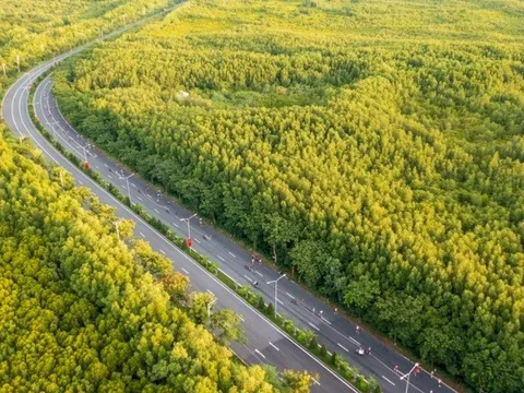 UBND TP.HCM thành lập hội đồng thẩm định dự án metro kết nối trung tâm TP.HCM với Cần Giờ do VinSpeed đề xuất