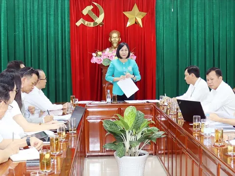 Phó Chủ tịch UBND tỉnh Đồng Nai làm việc với Công ty Sovi về kế hoạch di dời khỏi Khu công nghiệp Biên Hòa 1