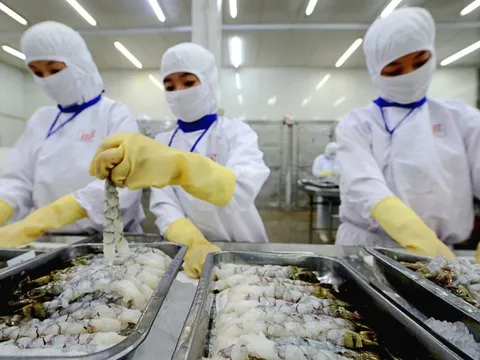 Năm 2025, Thực phẩm Sao Ta (FMC) ghi nhận doanh thu kỷ lục hơn 8.000 tỷ đồng