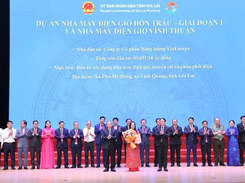 VinEnergo, công ty con của Tập đoàn Vingroup, đầu tư 8 tỷ USD vào cụm nhà máy điện gió Gia Lai