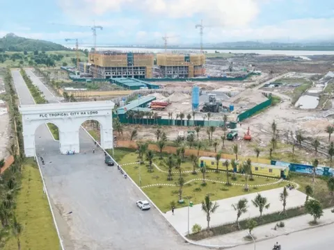 Quảng Ninh yêu cầu thu hồi nợ thuế tại hai dự án 16.000 tỷ đồng chậm tiến độ của FLC